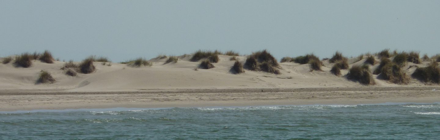 Les thèmes du réseau de suivi en Camargue